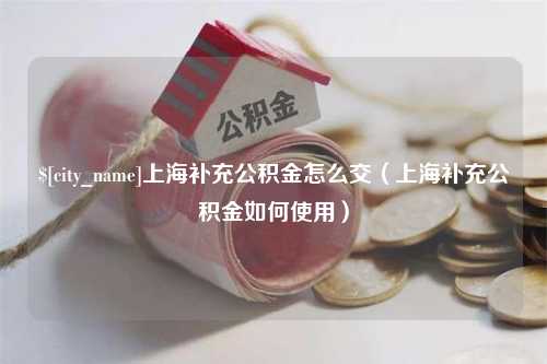 沧县上海补充公积金怎么交（上海补充公积金如何使用）